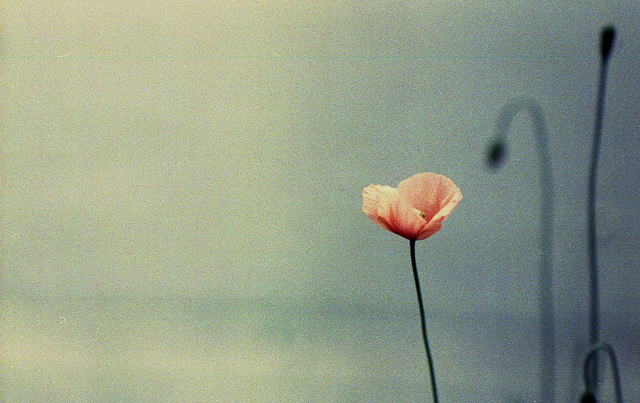 2013-Failure-teaches-success